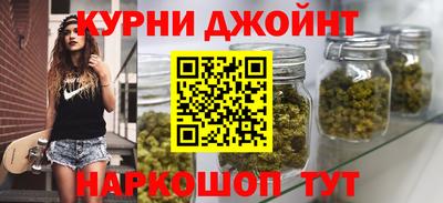 бошки Гатчина