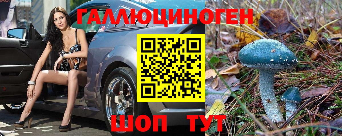 Миллерово  Галлюциногенные грибы мухоморы  Вход с VPN  Галлюциногенные грибы прущие грибы 